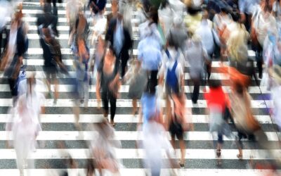 Hoe migratie en overleven hand in hand gaan